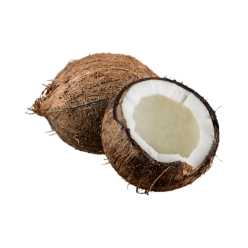 Coconut-2