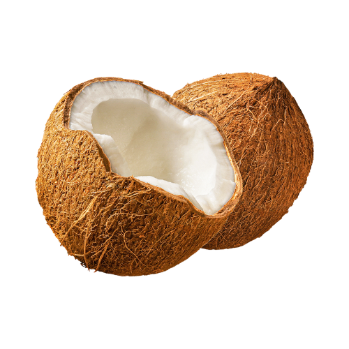 Coconut-3