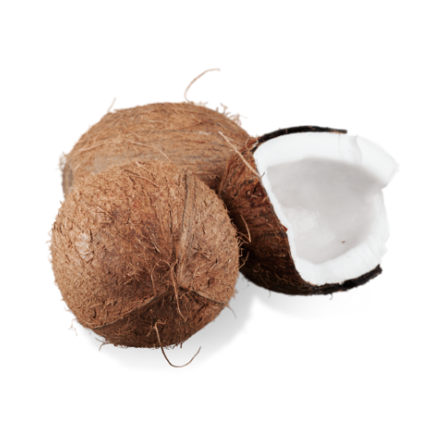Coconut-4